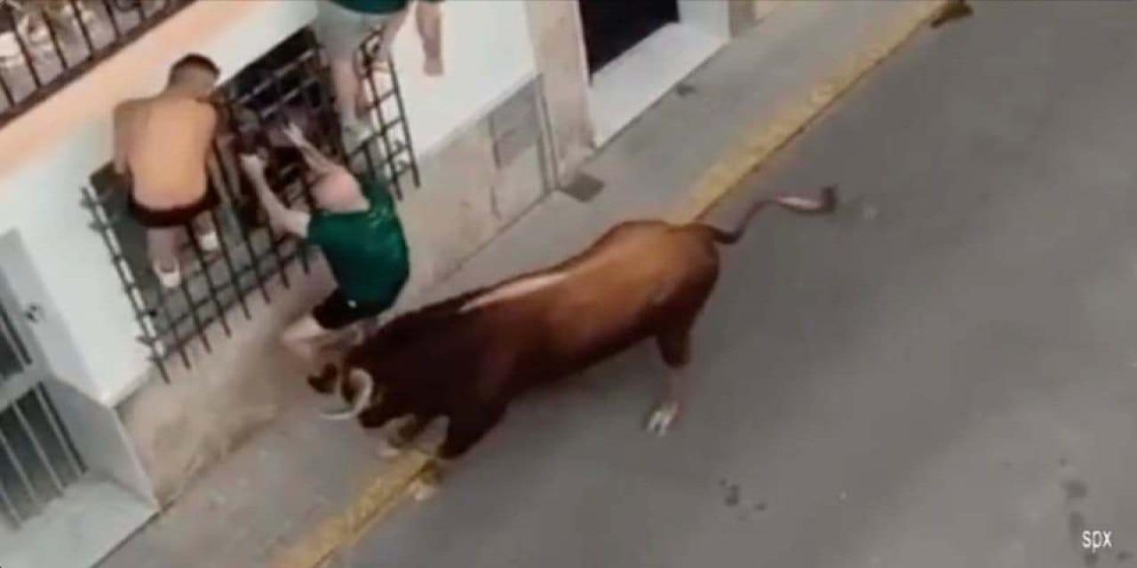 boga festivaline katilan kisi boynuzlanarak can verdi 6zOOUPbl