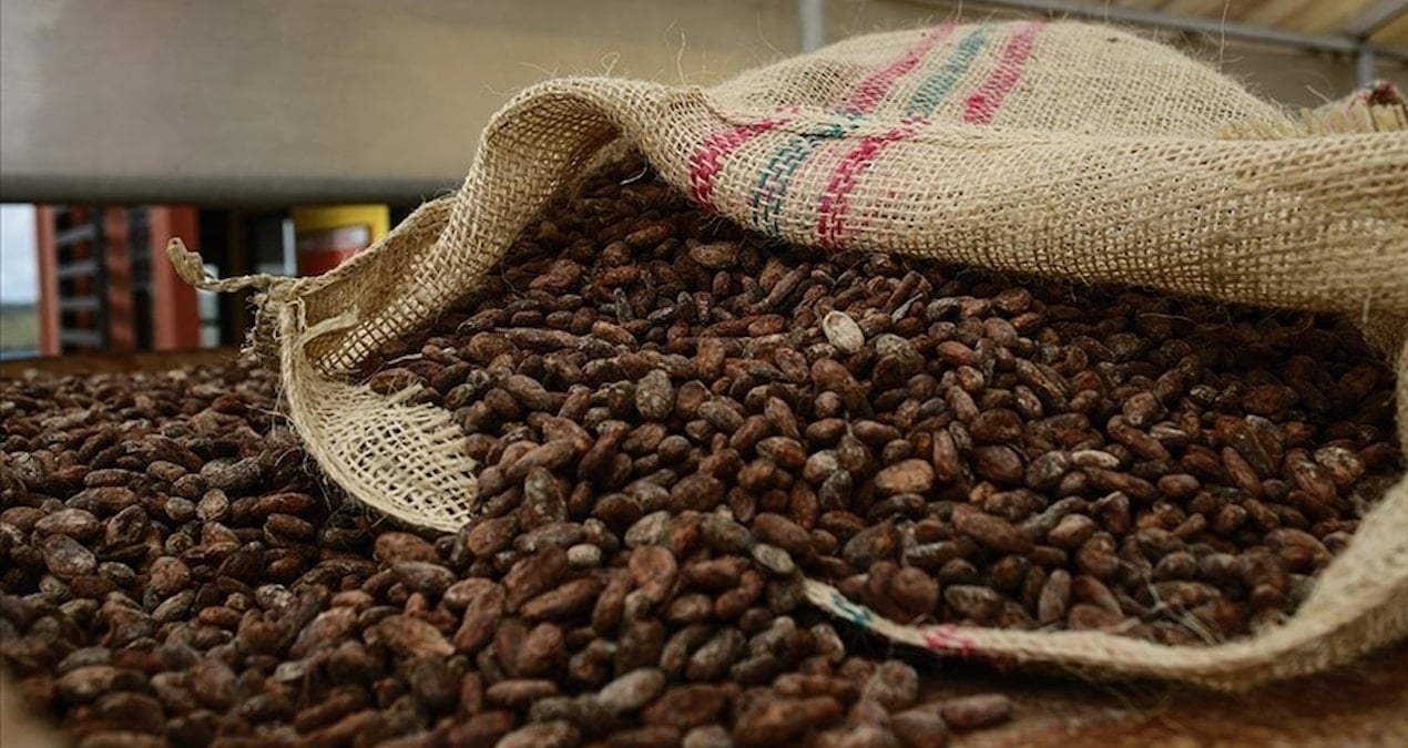 gecen yil rekor kirmisti bu kez sert dustu kakao fiyatlari eriyor kR1SlbuI