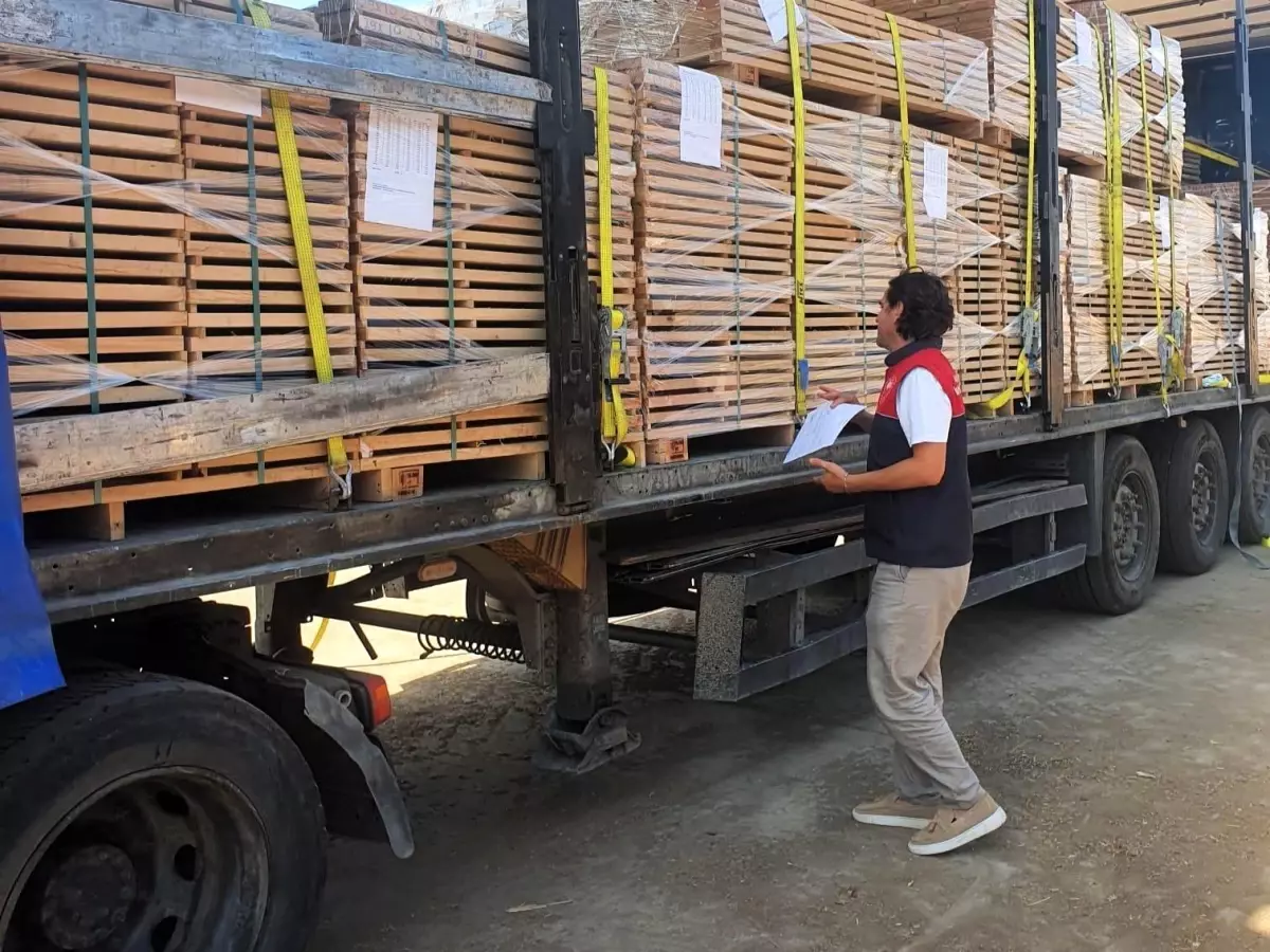 kirklarelinde ihracat denetimi D4iT8zkw