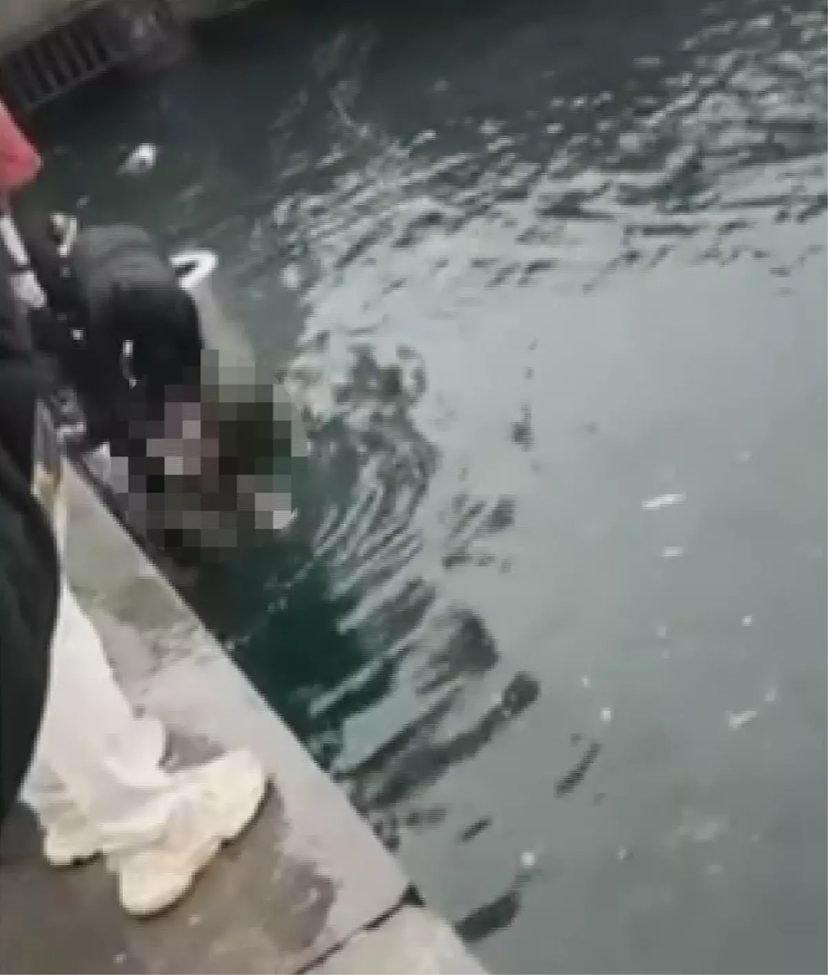 istanbulda can pazari 4 engelli vatandas denize dustu biri hayatini kaybetti daNuz3Bn.jpg