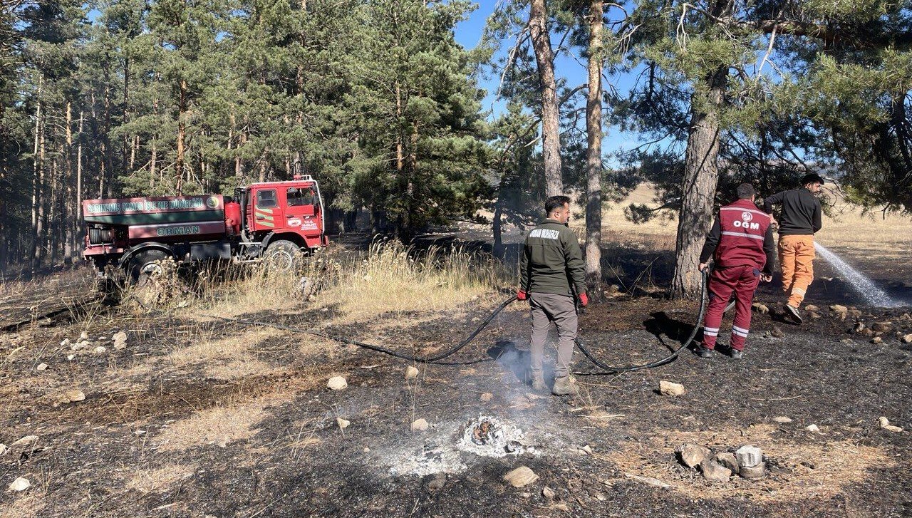 sarikamista cikan orman yangininda yaklasik 1 hektar alan zarar gordu tAYDGpSN