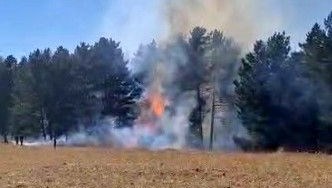 sarikamista orman yangini nAKpAHLw.jpg