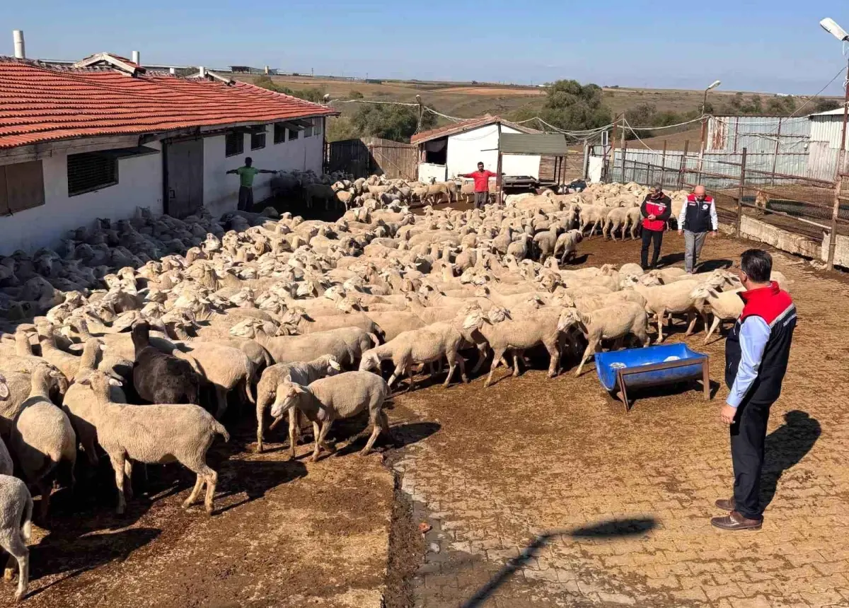 tekirdag tarim ve orman il muduru ciftcileri ziyaret etti gSexjlAK.jpg