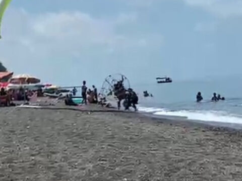 Güneşlenirken neye uğradıklarını şaşırdılar! Tatilcilerin arasına böyle daldı