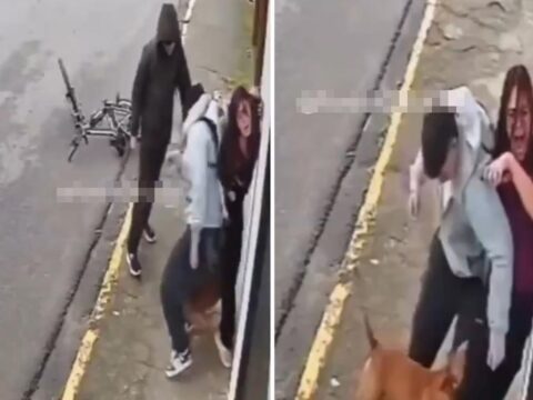 Genç kadın, pitbull köpeğinin saldırısına uğradı