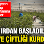 Sifirdan basladilar meyve ciftligi kurdular sehir hayatini birakip topraksiz tarima gectiler ebHPiPUT