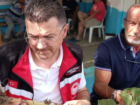 Tekirdagda dolu yagisi sonrasi tarim arazilerinde hasar tespiti suruyor PLkKvrXV